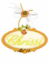 Chrissi -Lady Bug Tag