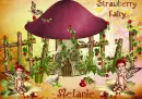 Strawberry Fairy Melanie