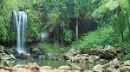 Nature pics