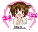 Kitty