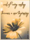 New Beginning