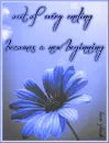 New Beginning