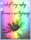 New Beginning
