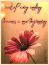 New Beginning
