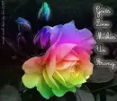Gods Love