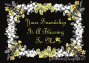 Friendship Is A Blessing