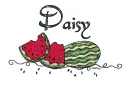 Summer watermelon - Daisy