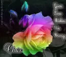 Chris