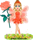 Rose fairy