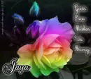 Jaya