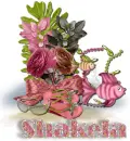 Pink Tropical - Shakela