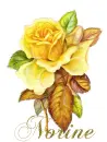 Norine