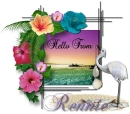 Hibiscus Frame - Rennie