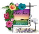 Hibiscus Frame - Robbie