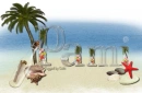 Beach Name - Pami