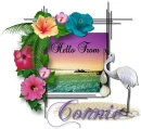 Hibiscus Frame- Connie