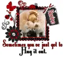 Hug it out - Norine