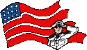 Marine Salutes Flag