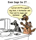 Even Dogs Do It  