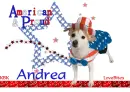 American Pup - Andrea