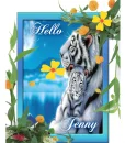 hello jenny