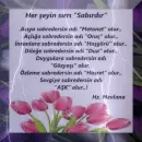 DÄ°NÄ° gif