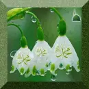 DÄ°NÄ° gif