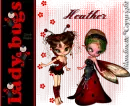 Lady Bugs