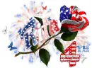 Rita-4th of July Rose