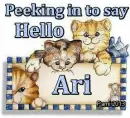Ari