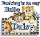 Daisy