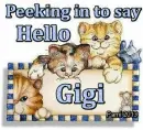 Gigi