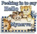 Mynerva