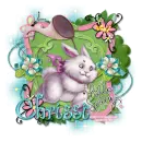Hello-Spring-Chrissi