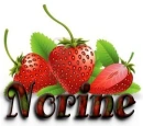 Norine