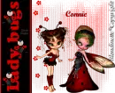Lady Bugs
