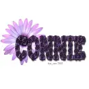 Connie - Purple Flower