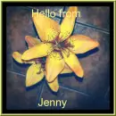 HELLO THERE  - FROM JENNY