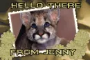 HELLO THERE  - FROM JENNY