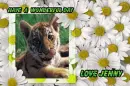 Have a wonderful day - love jenny