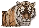 Amber