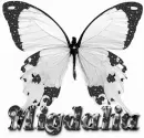 Migdalia
