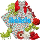 Hello Bug - Shakela