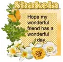 Wonderful Friend-Shakela