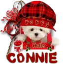 Connie