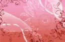 Flowers - Background