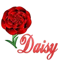 Daisy