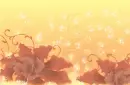 Flowers - Background