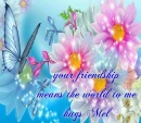 your friendship means the world to me - hugs mel