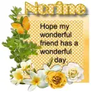 Wonderful Friend - Norine
